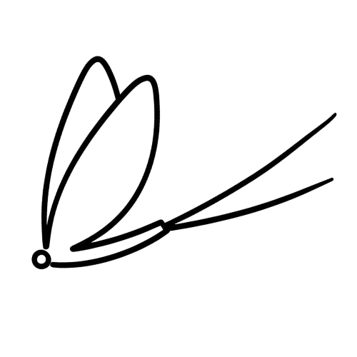 MayFly Creative
